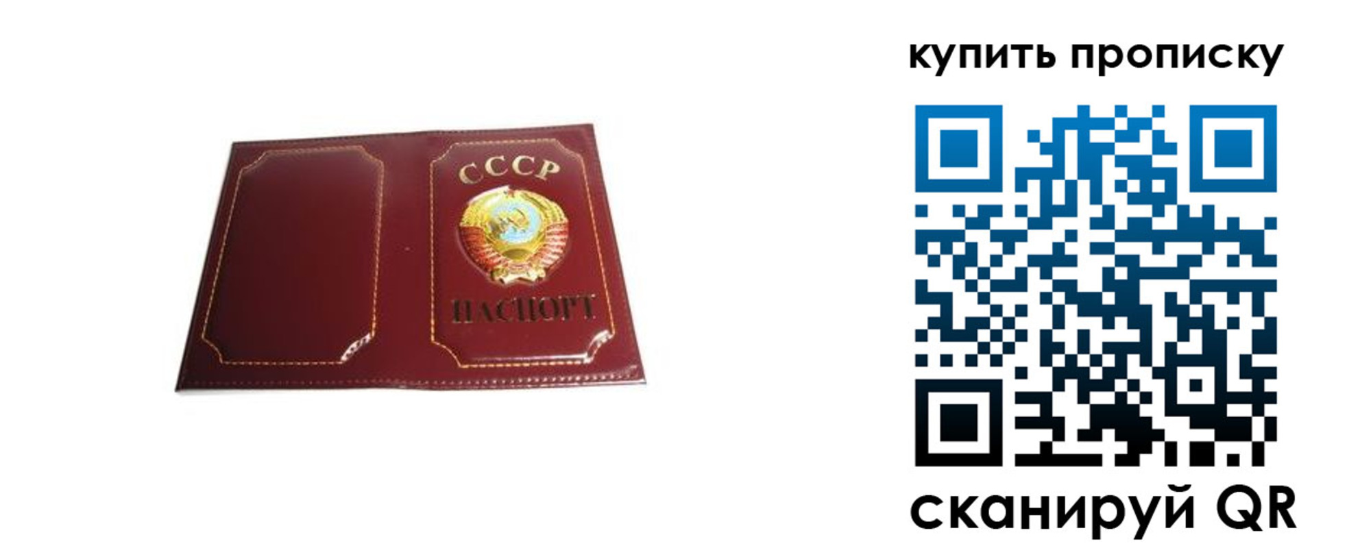 прописка законно в Курчатове
